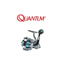 Quantum Iron PT