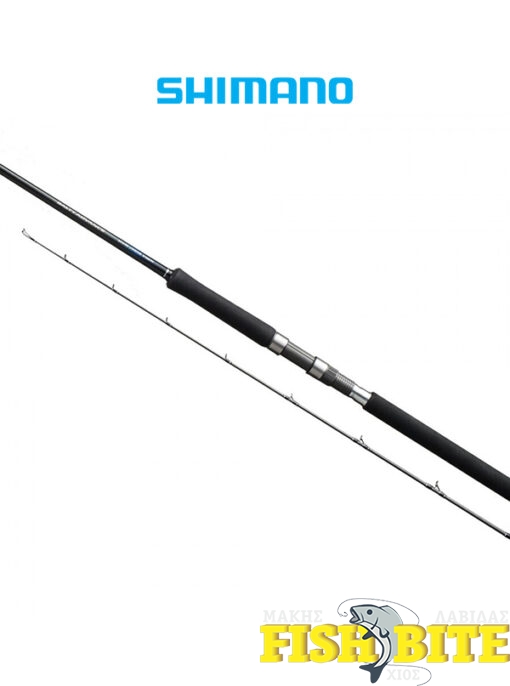 Καλάμι Shimano Salty Advance Shore Jig