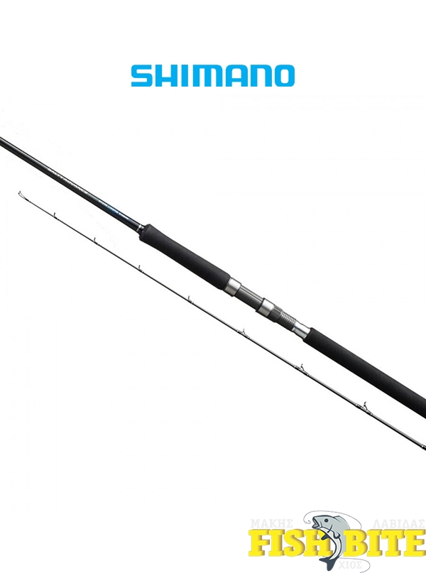 Καλάμι Shimano Salty Advance Shore Jig